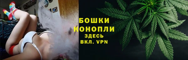 соль ск Горнозаводск