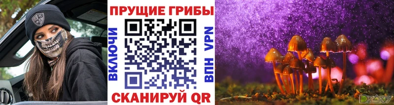 Псилоцибиновые грибы GOLDEN TEACHER  даркнет официальный сайт  Вологда  наркошоп 
